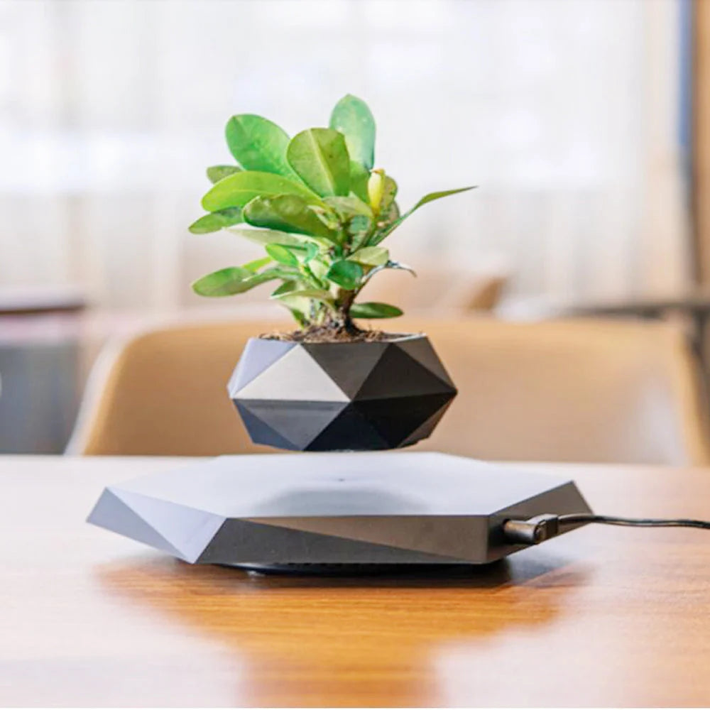 Levitating Planter Magnetic Levitation & 360 Degree Rotation
