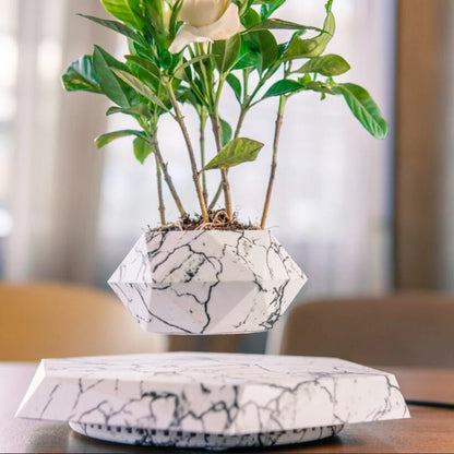 Levitating Planter Magnetic Levitation & 360 Degree Rotation