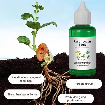 Liquid Plant Activator Root Development & Bloom Booster