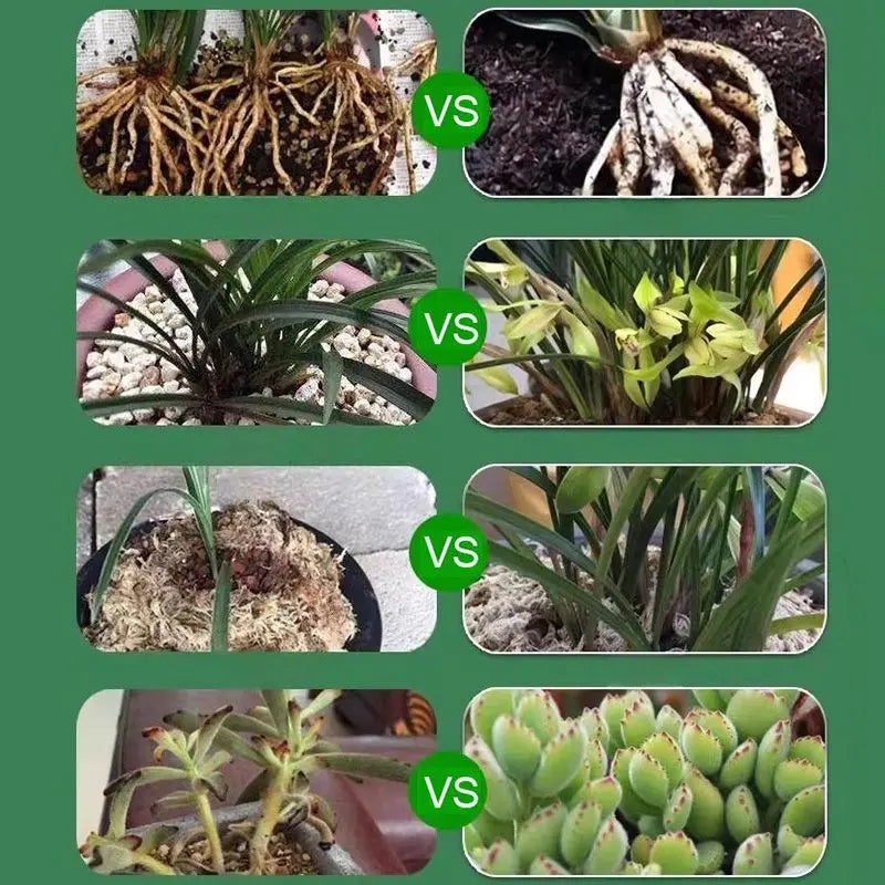 Liquid Plant Activator Root Development & Bloom Booster