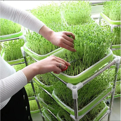 Microgreen Sprouting Tray Two-Layer Drainage BPA-Free Grid Insert