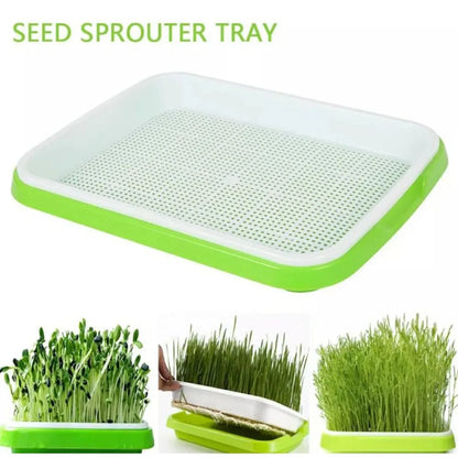 Microgreen Sprouting Tray Two-Layer Drainage BPA-Free Grid Insert