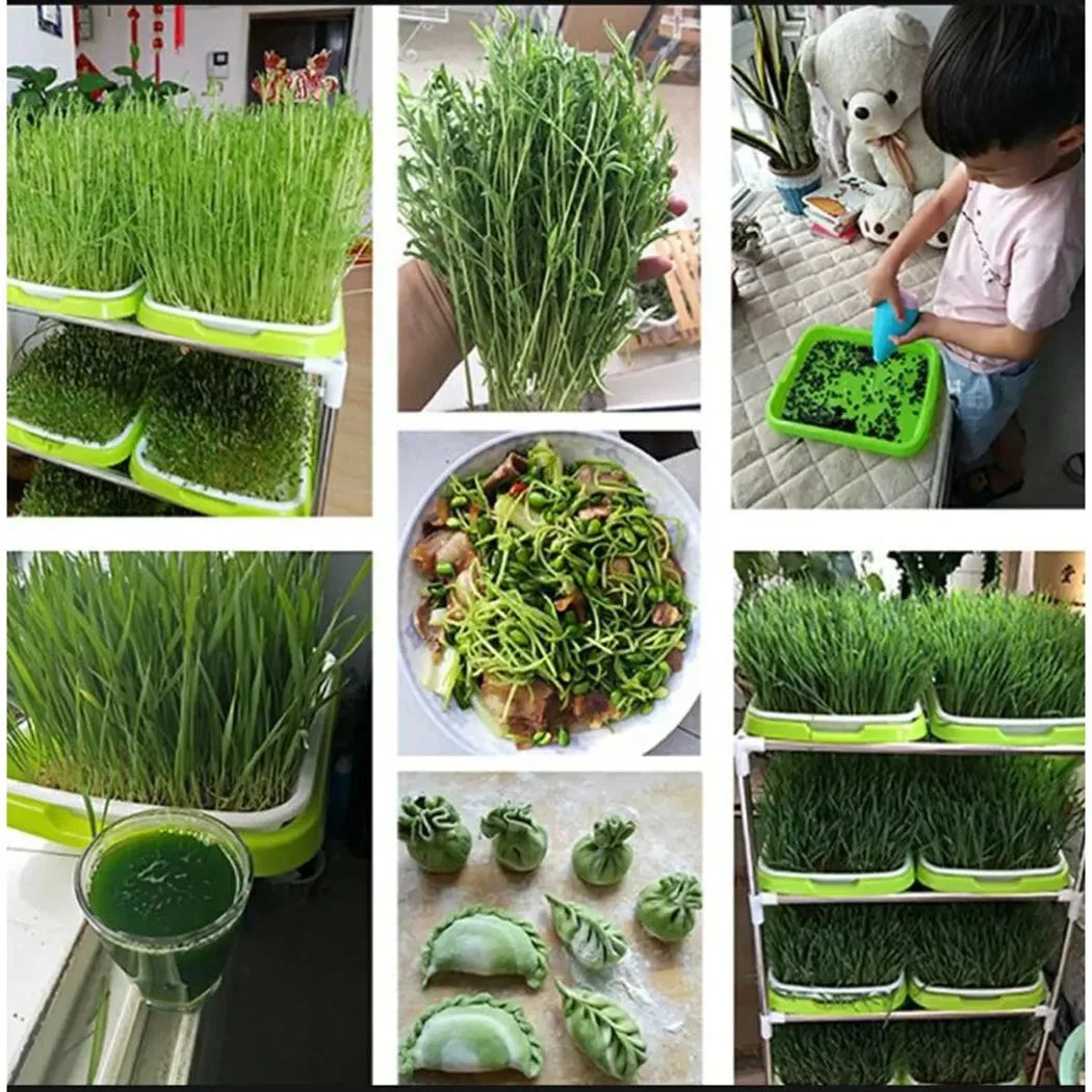 Microgreen Sprouting Tray Two-Layer Drainage BPA-Free Grid Insert