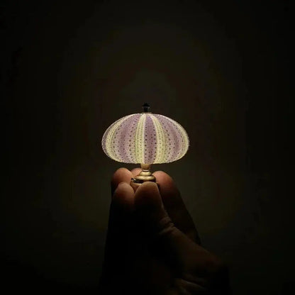 Night Lamp Sea Urchin Shell Gold Base
