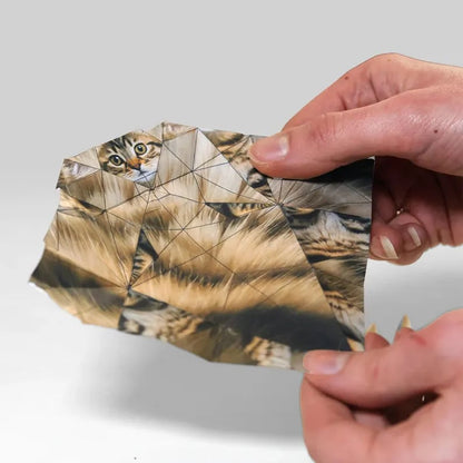 Origami Kit Pre-Printed FSC Certified Set of 50