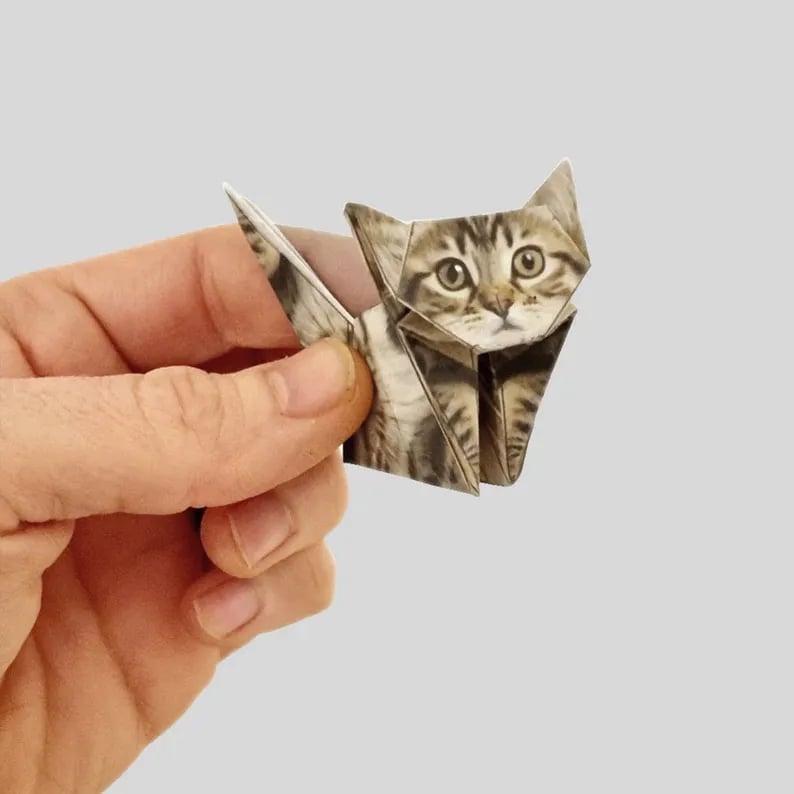 Origami Kit Pre-Printed FSC Certified Set of 50