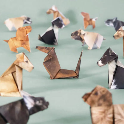 Origami Kit Pre-Printed FSC Certified Set of 50