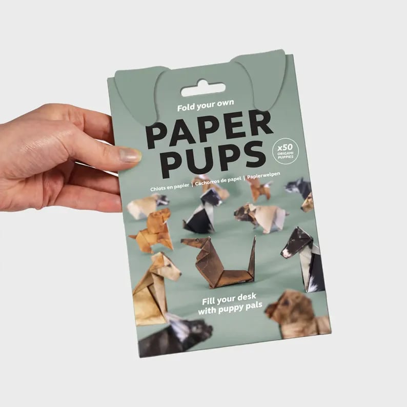 Origami Kit Pre-Printed FSC Certified Set of 50