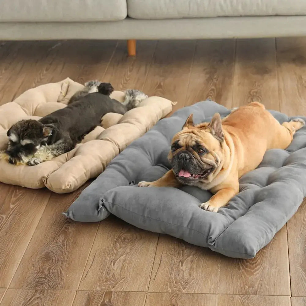 Pet Bed 3-In-1 Convertible Breathable Cotton & Padded