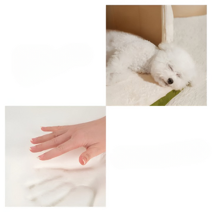 Pet Bed Convertible Cave & Flat Orthopedic Foam