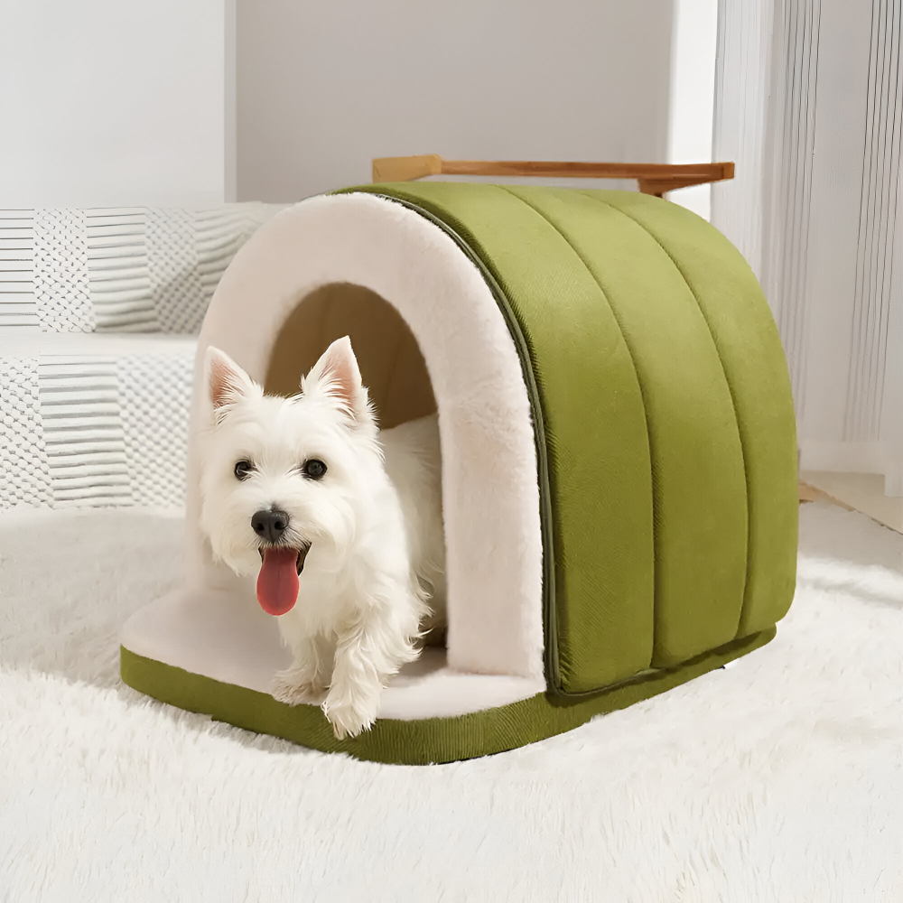 Pet Bed Convertible Cave & Flat Orthopedic Foam