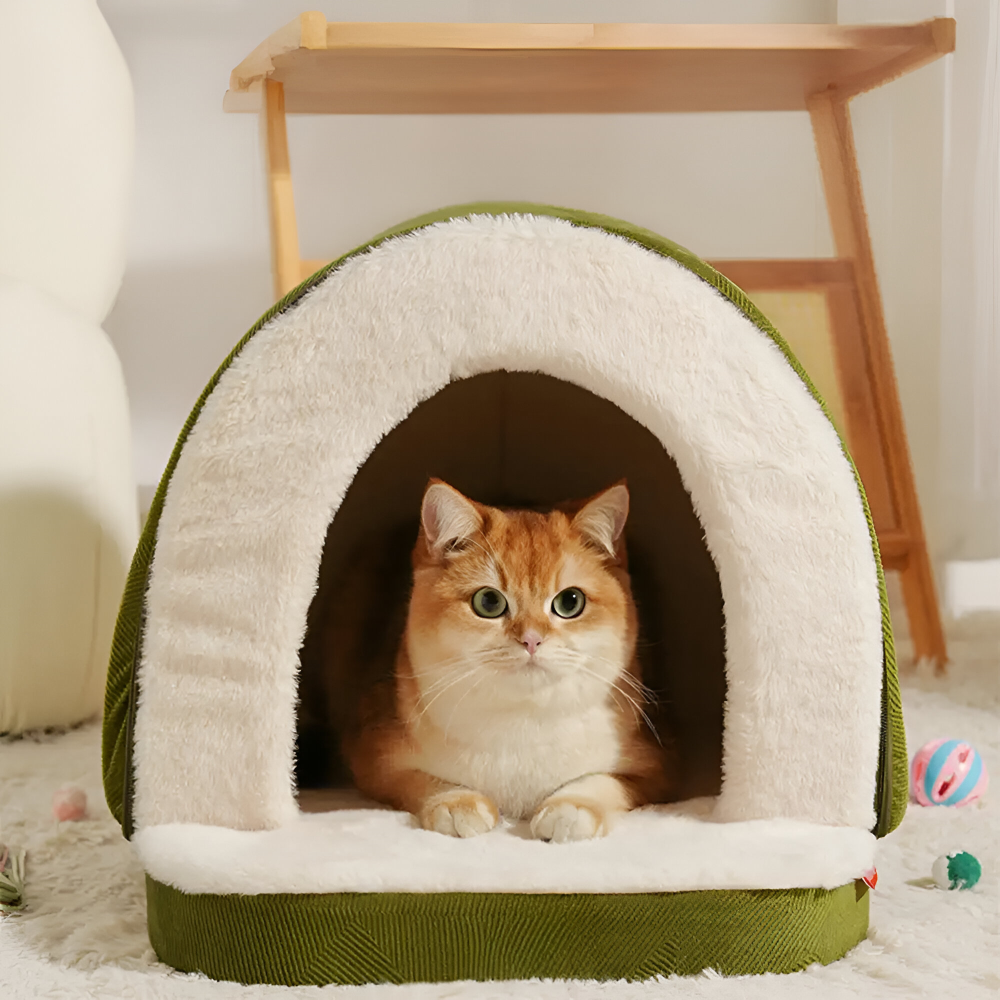 Pet Bed Convertible Cave & Flat Orthopedic Foam