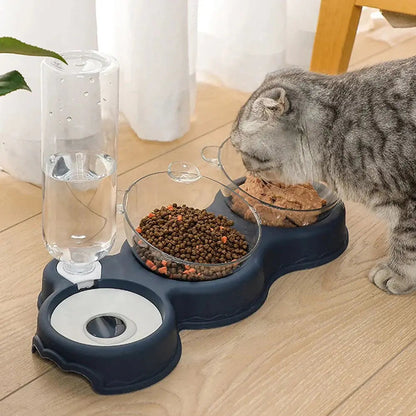Pet Feeding Station Tilted Dual Bowls Auto Dispenser