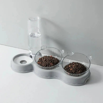 Pet Feeding Station Tilted Dual Bowls Auto Dispenser