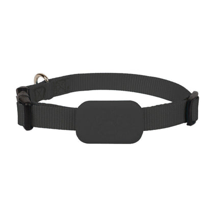Pet GPS Tracker Real-Time Tracking & Motion Alerts