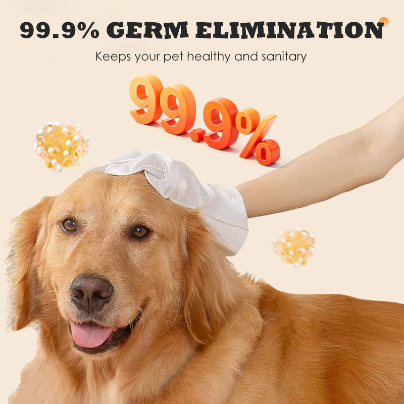 Pet Grooming Gloves Waterless Antibacterial Five-Finger 50 Pack