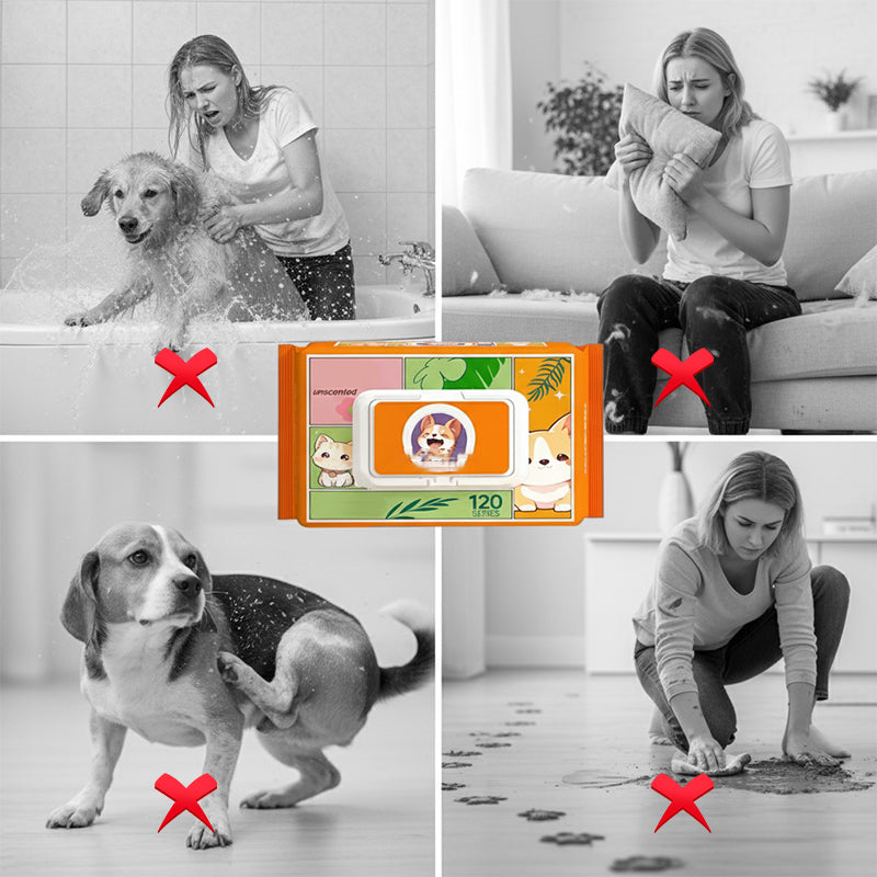 Pet Grooming Gloves Waterless Antibacterial Five-Finger 50 Pack