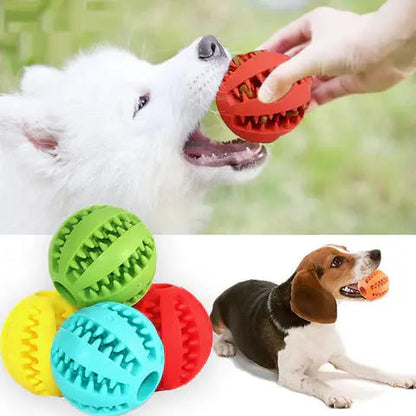 Pet Treat Ball Natural Rubber Hollow Dispenser