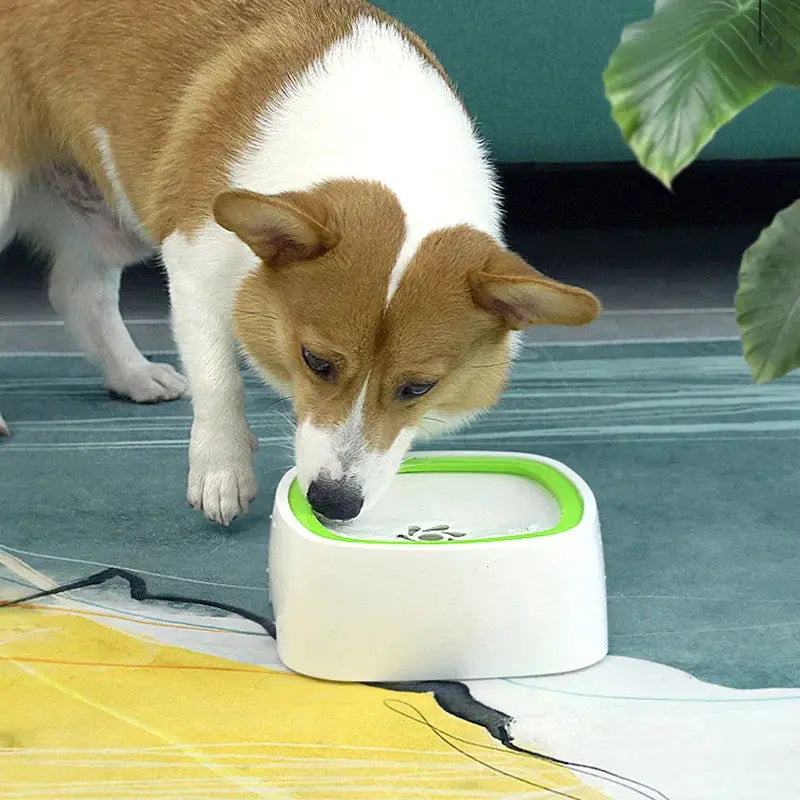 Pet Water Bowl Splash-Proof Removable Floating Plate 1.6 Quart