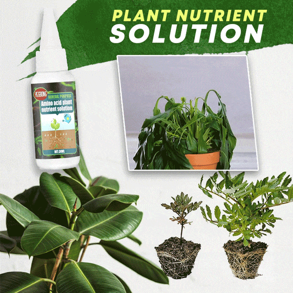 Plant Fertilizer Organic Amino Acids 30ml