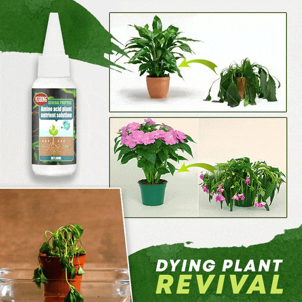 Plant Fertilizer Organic Amino Acids 30ml
