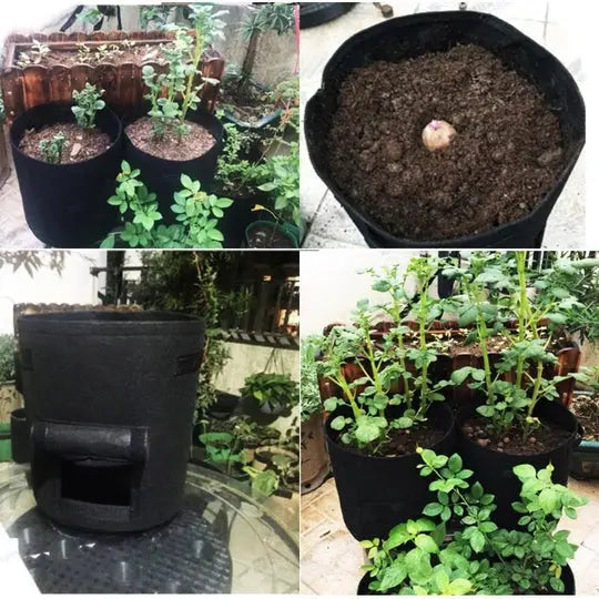 Planting Bag Breathable Felt Side Harvest Flap Reinforced Handles