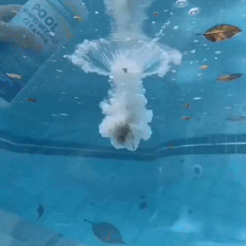 Pool Clarifier Fast-Acting Liquid Concentrate