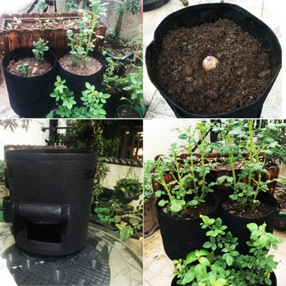 Potato Growing Bag Harvest Window Breathable Non-Woven Reinforced Handles