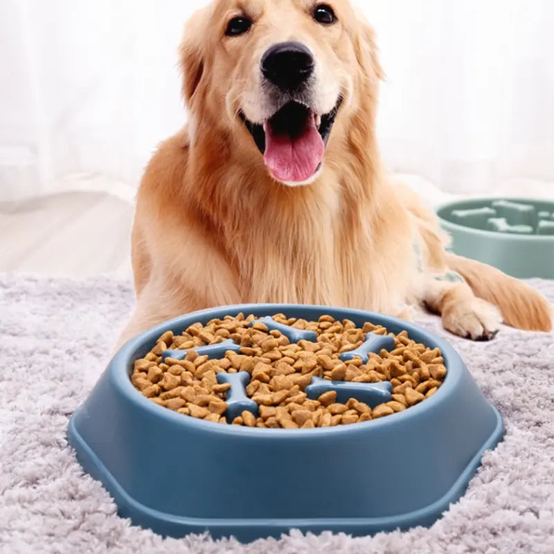 Slow Feeder Bowl For Dogs & Cats BPA-Free Silicone