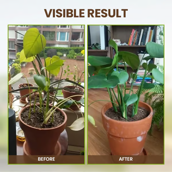 Soil Activator Powder Loosens Compacted Soil & Promotes Roots
