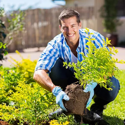 Soil Activator Powder Loosens Compacted Soil & Promotes Roots