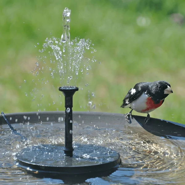 Solar Fountain Pump Automatic Start & 8 Nozzles