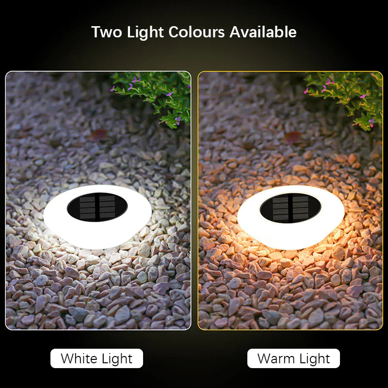 Solar Ground Lights 360° Ring Set of 4