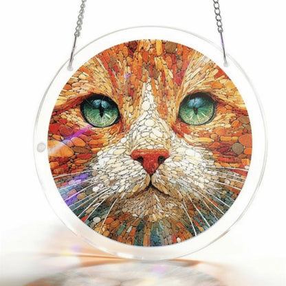 Sun Catcher Round Acrylic Rainbow Reflections