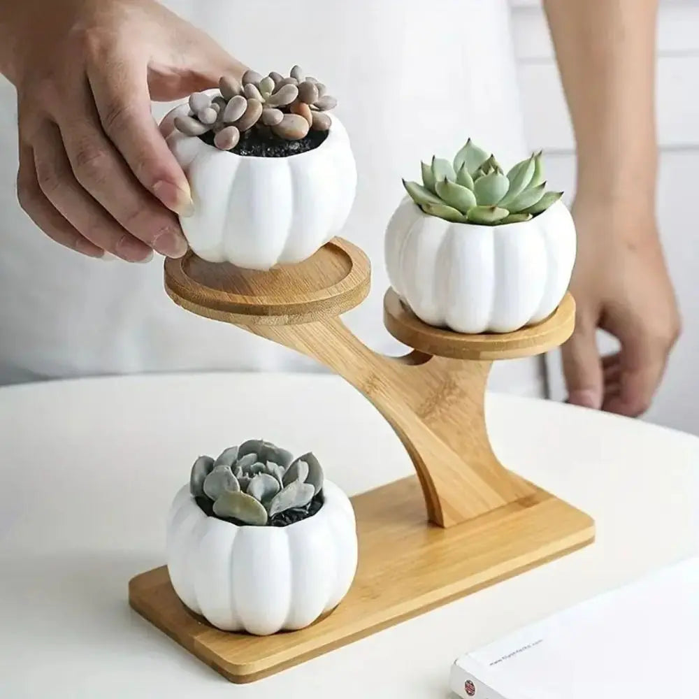 Tabletop Shelf Bamboo Multi-Level Space-Saving