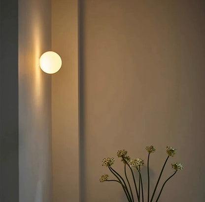 Wall Light Frosted Glass Globe Integrated LED Moisture Resistant