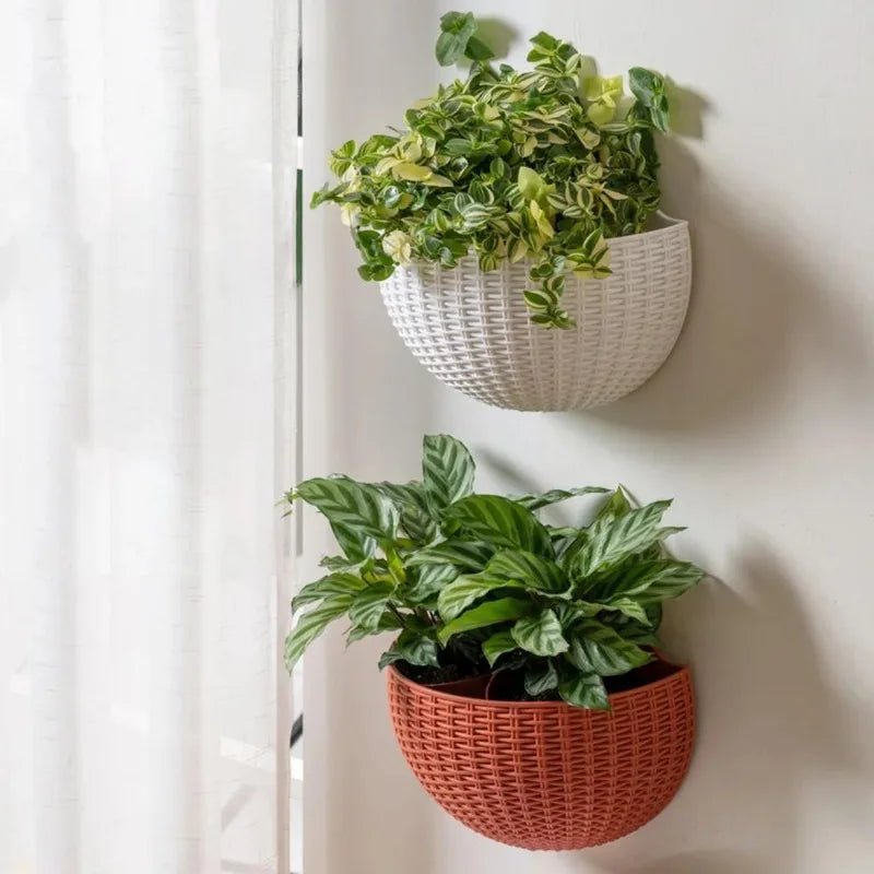 Wall Planter Rattan-Look Water Reservoir & Drainage