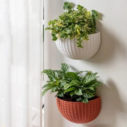 Wall Planter Rattan-Look Water Reservoir & Drainage