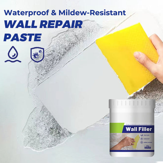 Wall Repair Putty Anti-Mold Smooth Finish 500 g