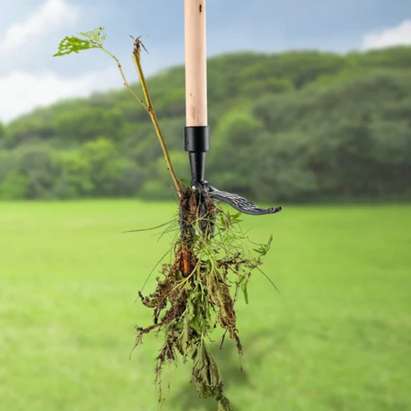 Weed Puller Long Handle & Detachable Stainless Steel Head