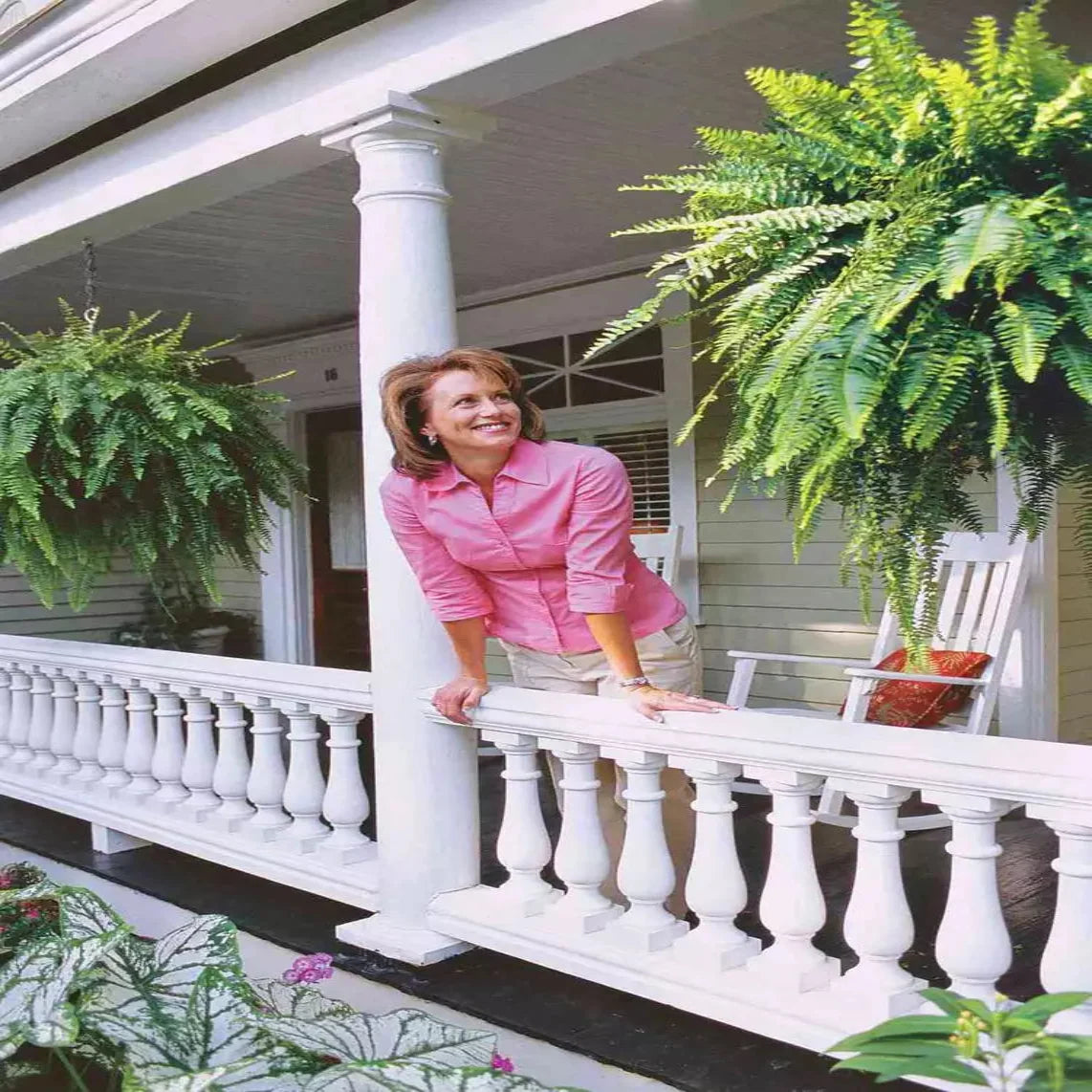Lifelike Fern Collection with Weather-Resistant Design, 18 Pieces