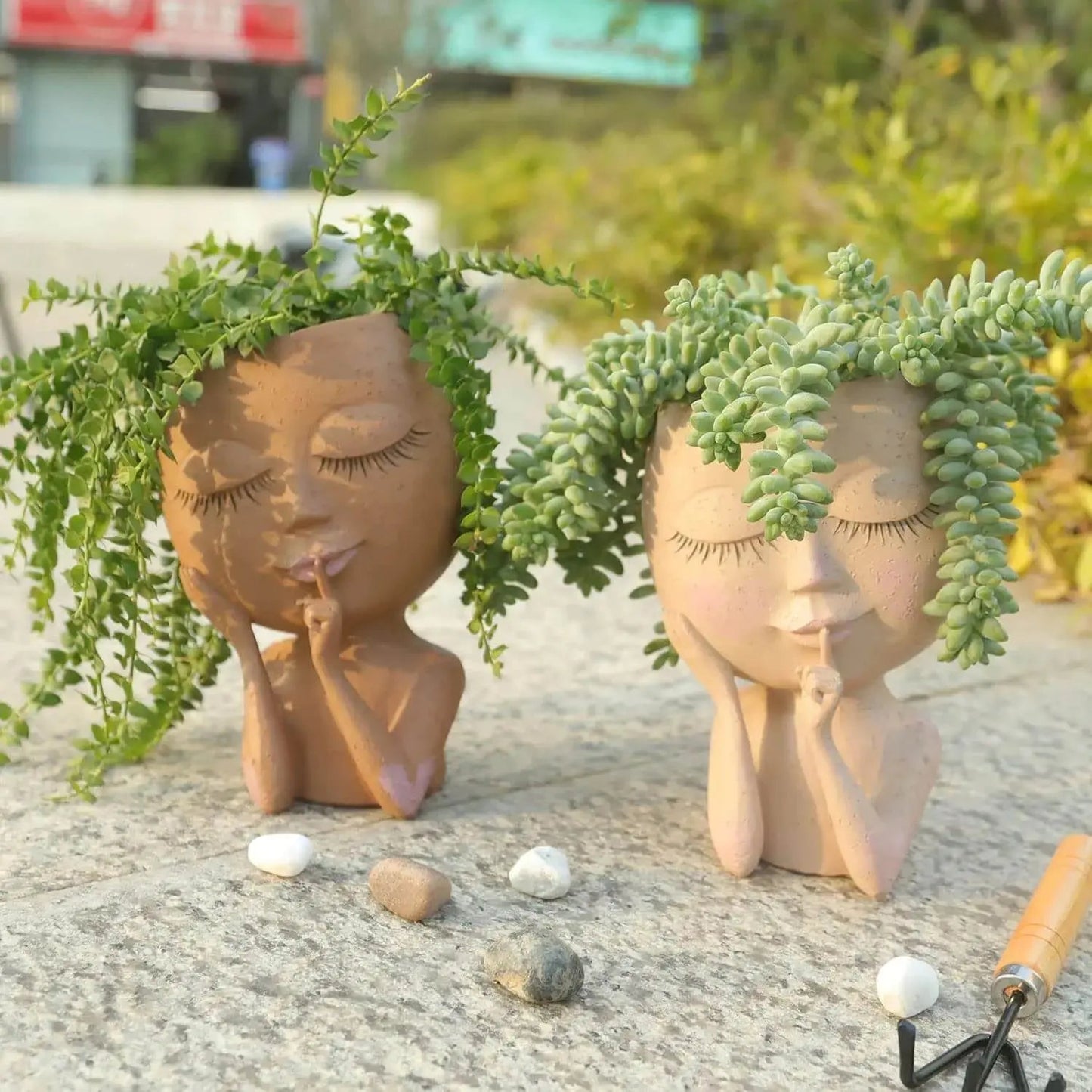 Charming Face Planter for Small Succulents and Herbs