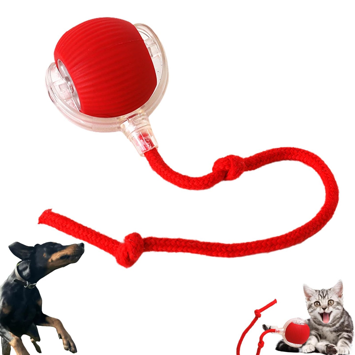 Smart Rolling Companion Toy for Dogs and Cats