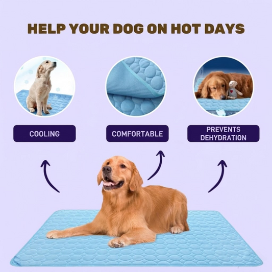 ChillPad for Dogs: Breathable Cooling Mat for Summer Relief