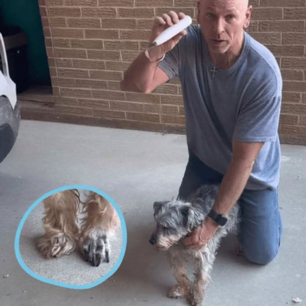 Whisper-Quiet Grooming Trimmer for Paws with LED Light