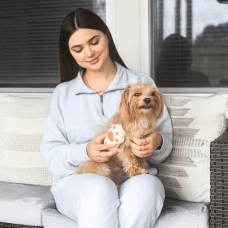 Hydrating Pet Brush with Gentle Silicone Tips