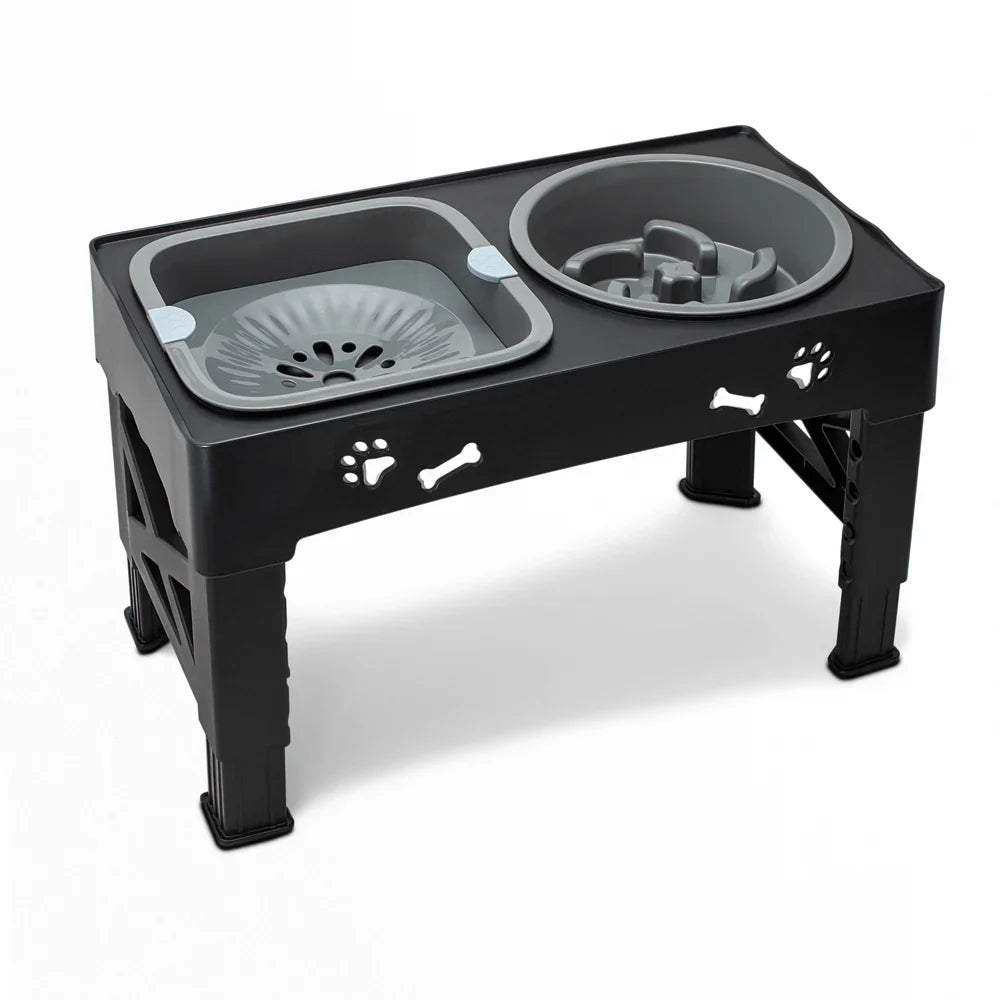 Elevated Pet Feeding Station with Slow Feed and Water Bowls
