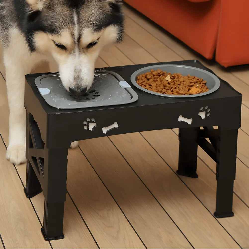 Elevated Pet Feeding Station with Slow Feed and Water Bowls