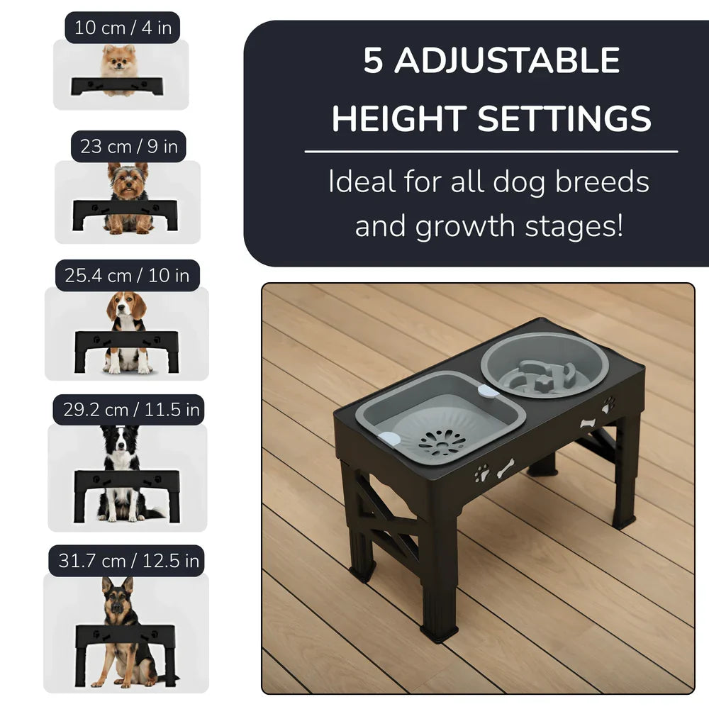 Elevated Pet Feeding Station with Slow Feed and Water Bowls