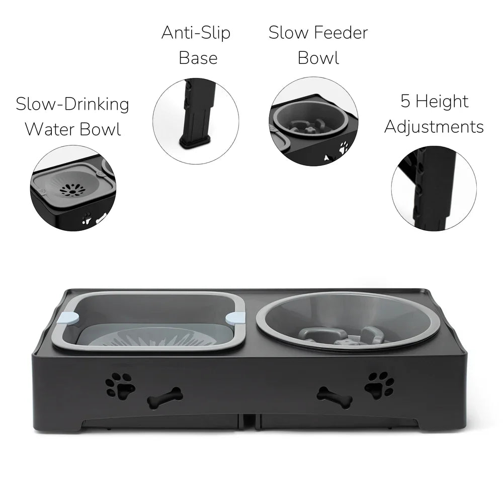 Elevated Pet Feeding Station with Slow Feed and Water Bowls